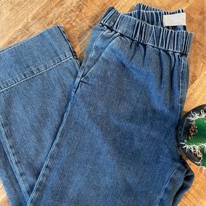 Everlane Easy Pant in Denim